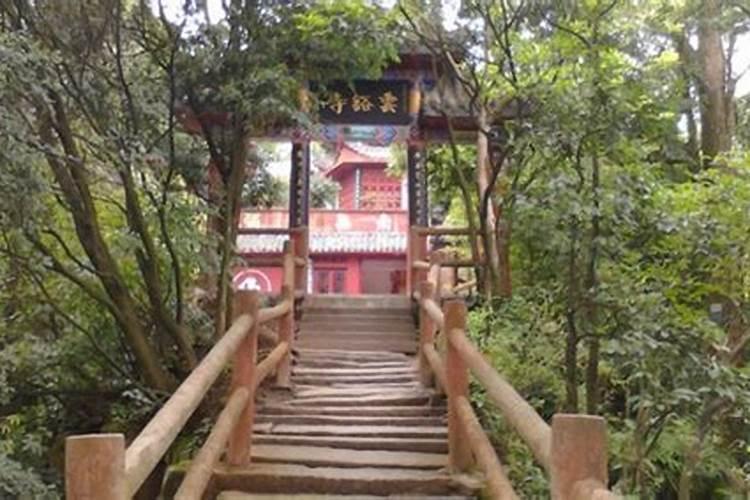 重庆清明节带孩子去哪里玩比较好
