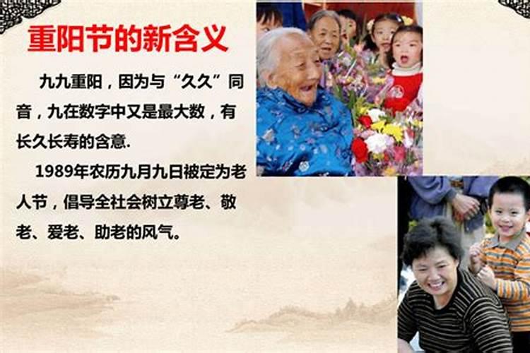 十二属相的运势鼠