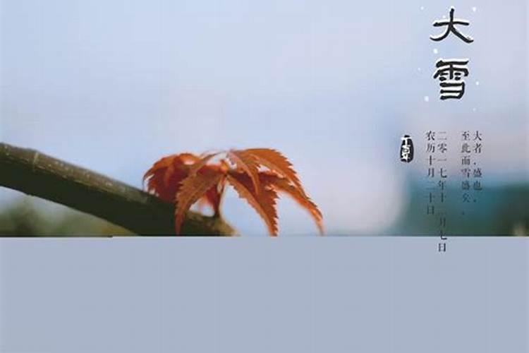 关于立冬的农谚 二十四节气立冬农谚大全及解释