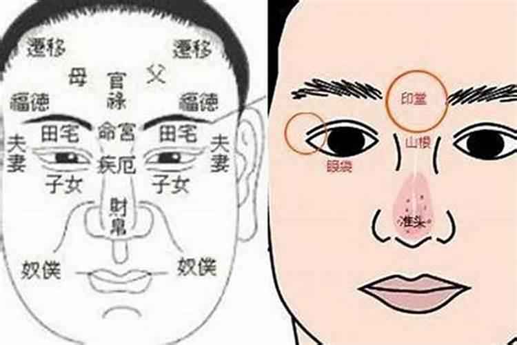属兔人2025年综合运势