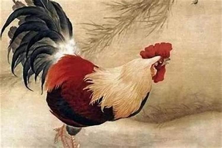 晓字取名的大忌