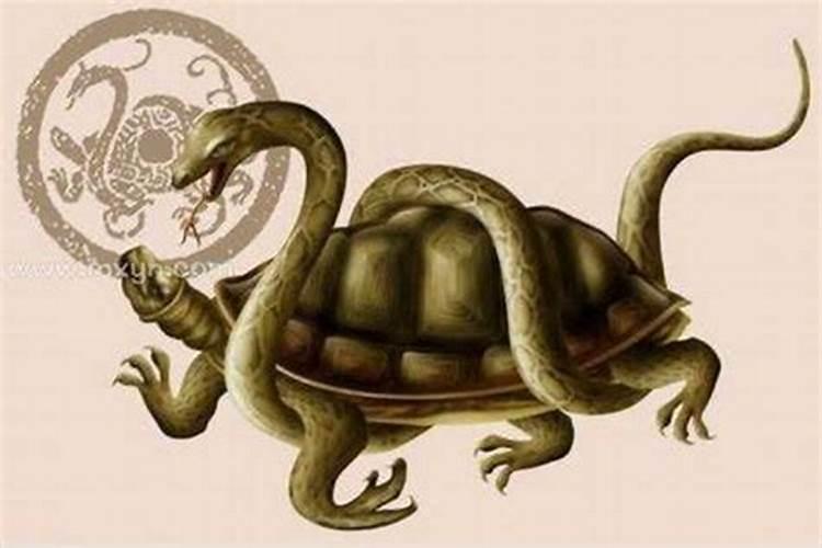 梦见蛇和乌龟是什么意思？