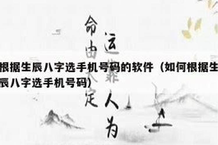 请问怎么根据生日选手机号