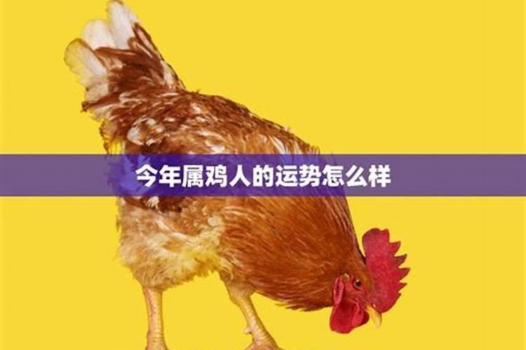 女儿梦到父母离婚有什么征兆
