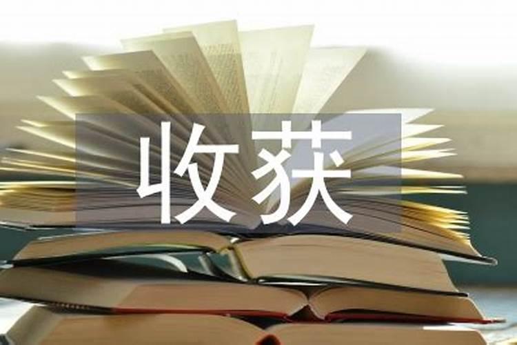 清明节祭祖心得体会600字