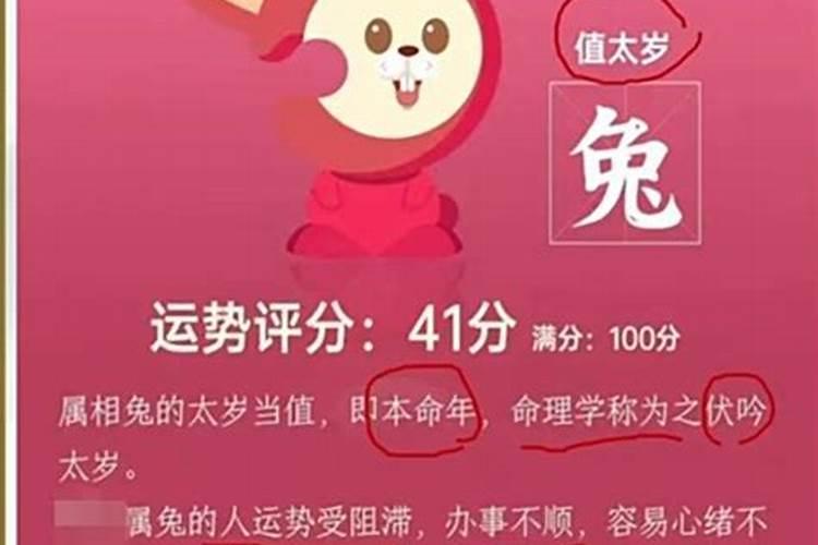 立冬和冬至是一天吗 立冬是冬至吗