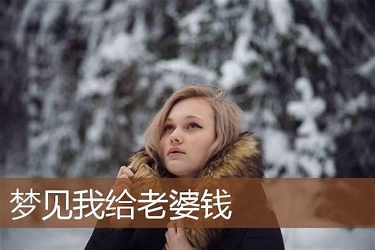 2025年属狗人的全年每月运势