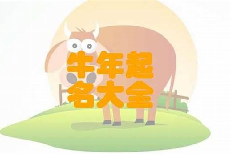 明年犯太岁的五大生肖需要注意什么