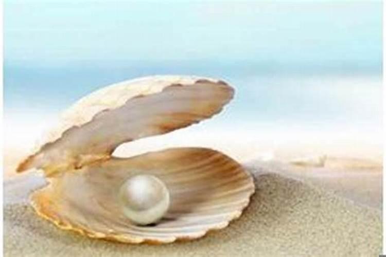 海中金命会是童子命吗？