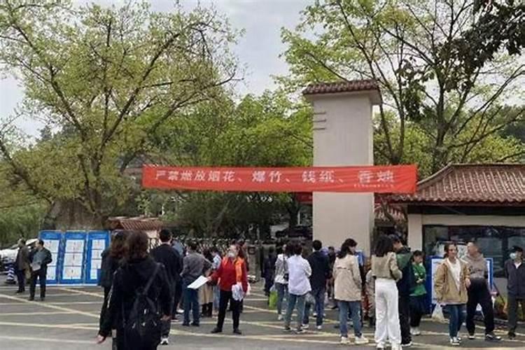 2024龙和2025蛇哪个好 了解24龙和25蛇的运势