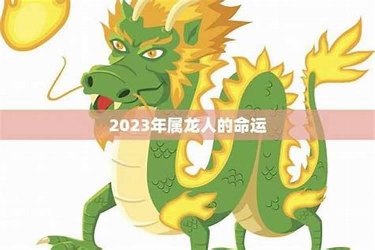 1988属龙人2025年每月运势详解