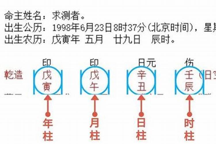 八字天干与地支的相互关系如何？如何组合排列