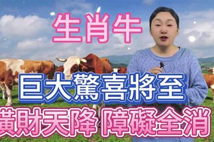 12岁本命年有什么讲究吗
