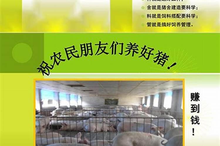 75年属兔人2024年每月运势
