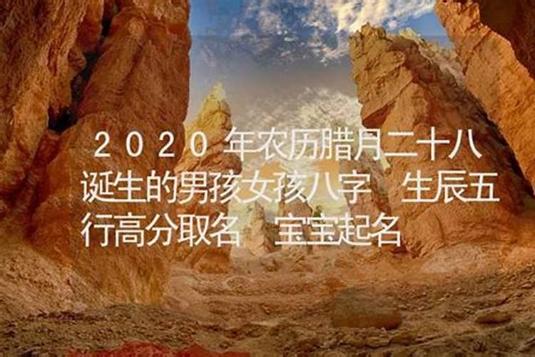 八月份属羊运势,属羊人1979年农历8月出生的农历腊月运势