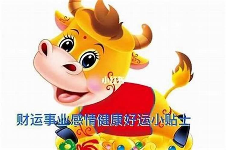 生肖羊1991年2025年运势如何 生肖羊1991年2025年全年运势