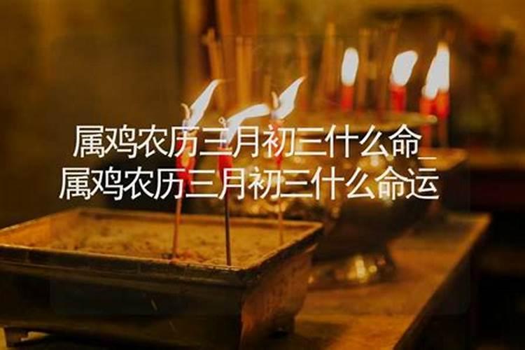 农历3月出生属猪人命好吗