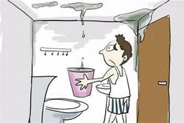 梦见家里的马桶漏水
