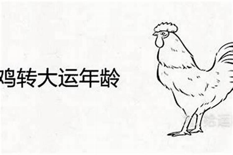 1981年属鸡男2023年运势及运程每月运程权威解析