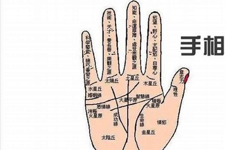 聪明的还债方法,还多少存多少,七步还债法摆脱债务困扰
