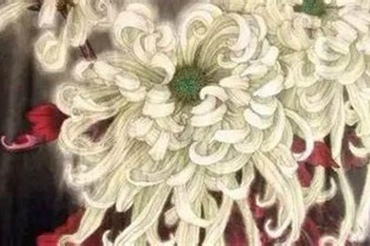 重阳节有避灾免祸的含义()