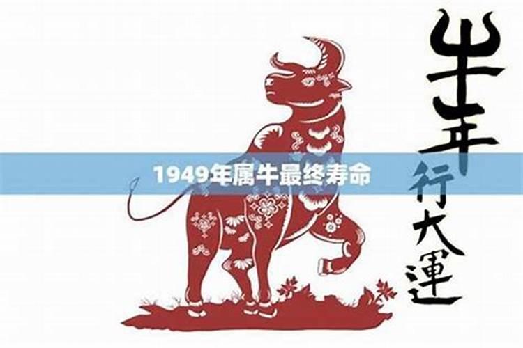1950年属什么生肖