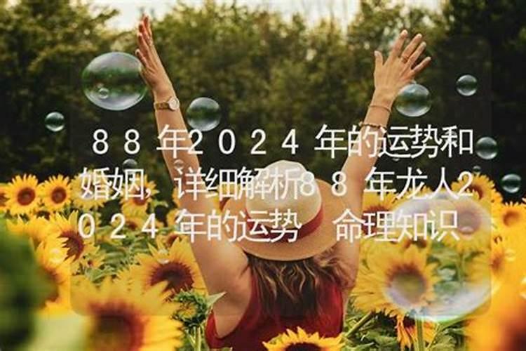 82年属狗2025年运势