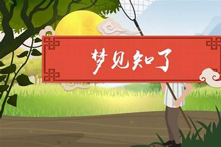 日支怎么在八字里看