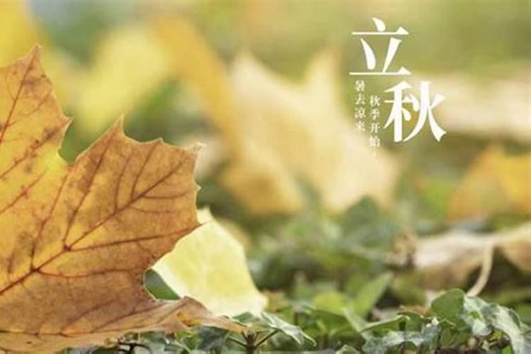 一般合婚合几个字最好 结婚看八字怎么合