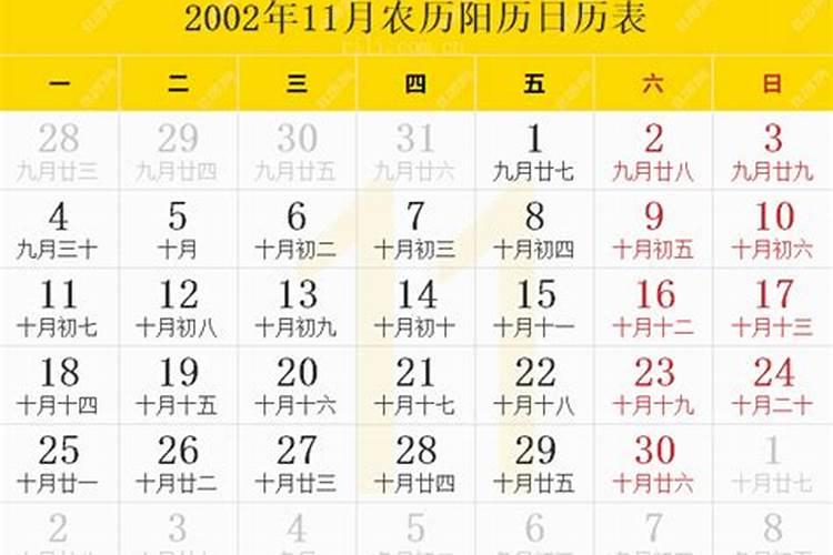 我是2002年一月初五出生的,那我应该是什么星座呢？
