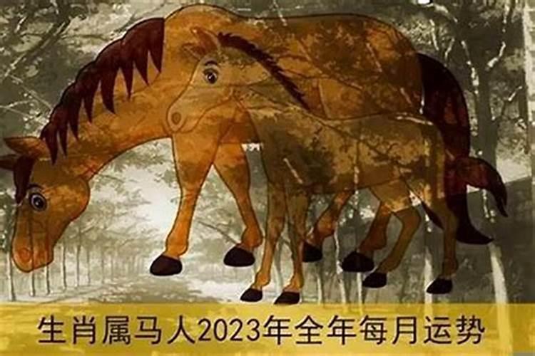 76年龙2025年运势如何
