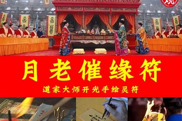 2025属兔人全年12个月运势如何