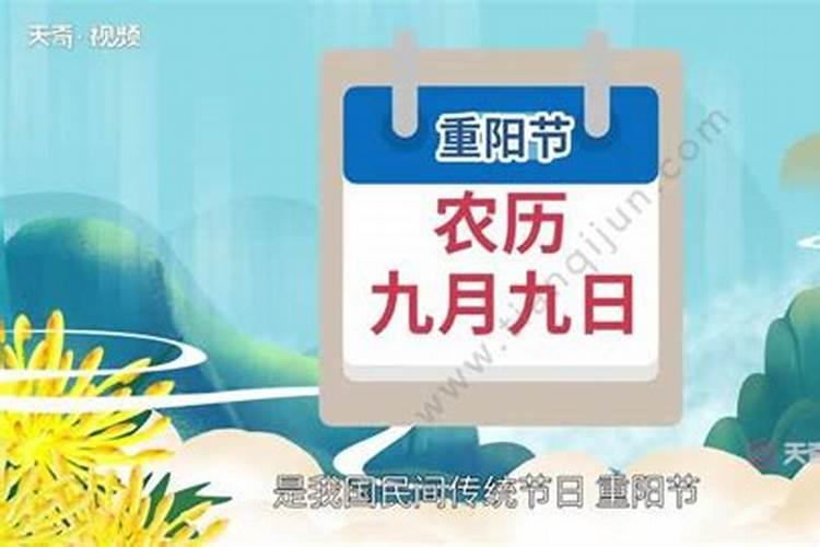 给人感觉很真实的伤感说说大全