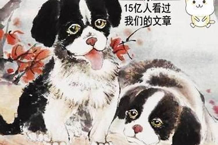 属狗的和属兔的在一起好吗？