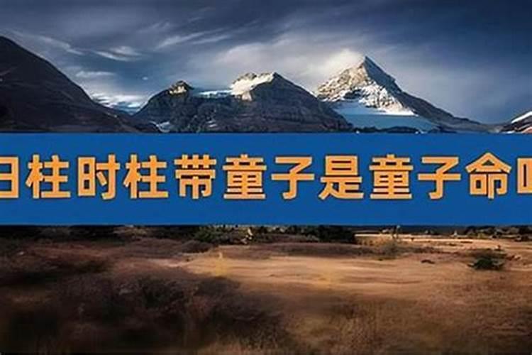 如何查询是否童子