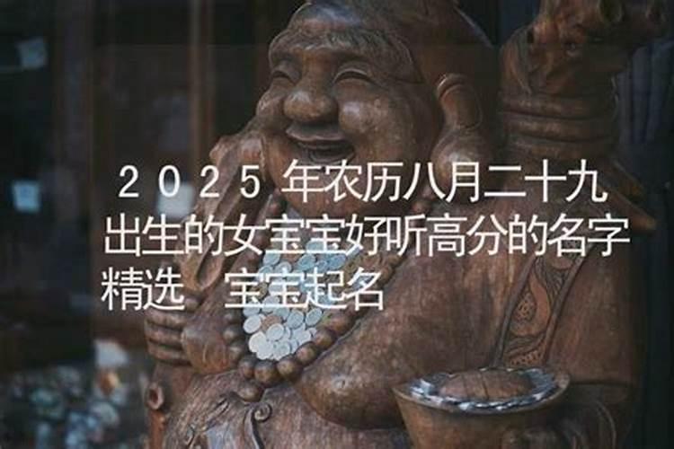 95年属猪人2025年运势