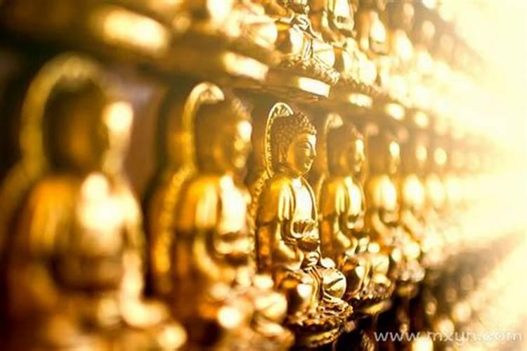 怎么根据自己的出生年月日算自己的性格