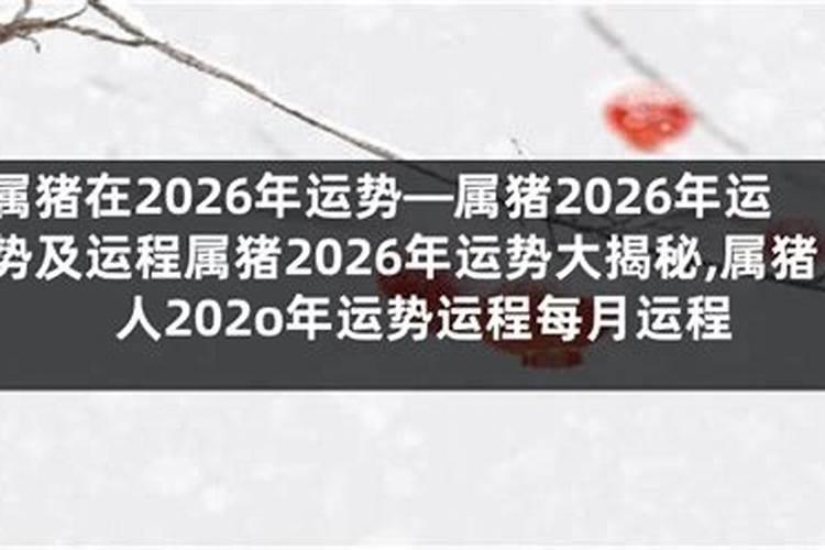 66年属马四两四钱今年运程？