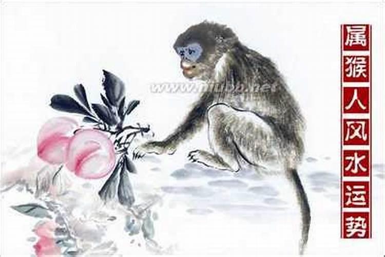 贡品多久可以拿下来吃
