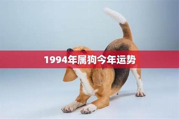 正月初一是什么日子 正月初一为鸡日