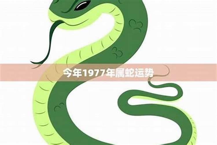 农历五月蛇运势,生肖蛇五月份运气不好