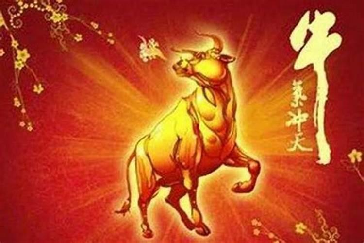 属牛房子多少层楼最好