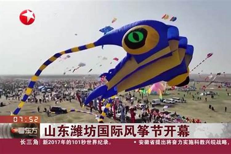 千年流苏树在哪里