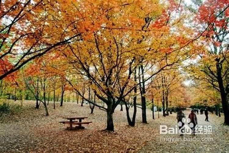 国内二月份去哪里旅游