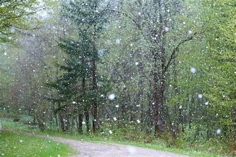 梦见下大雨有冰雹是什么预兆