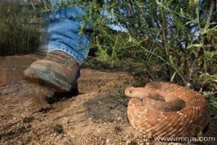 八字测姻缘 山头火和路旁土婚配可以吗