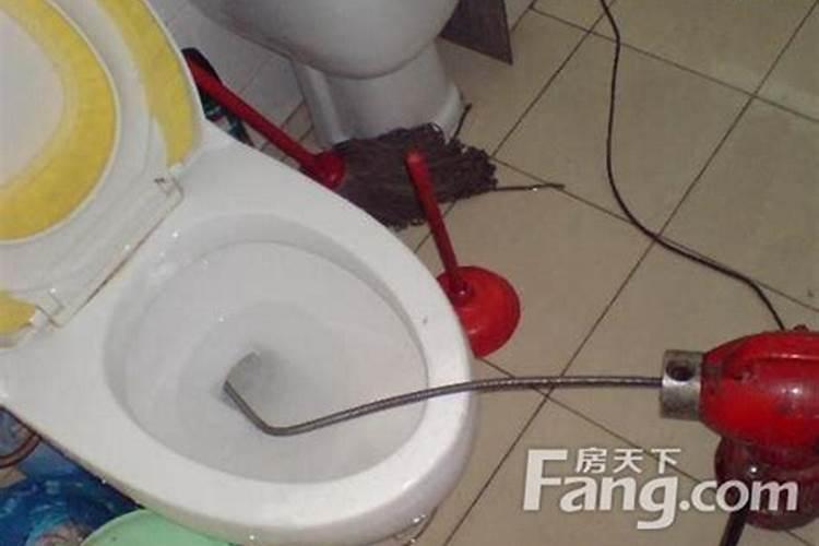 与鼠相合的属相是什么