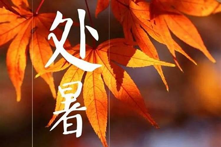 广西玉林狗肉节几号