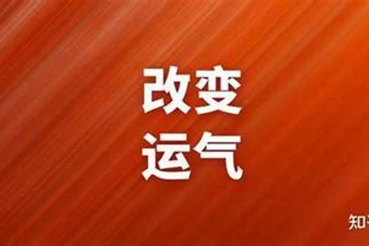 社区活动方案