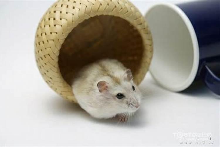 今天农历几月几日了？
